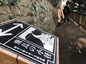 20180111160841_iPhone 7.jpg